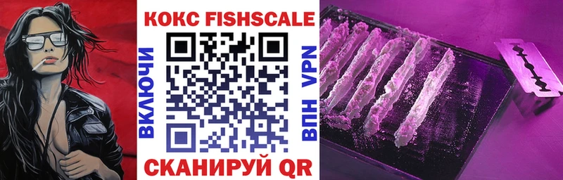 Кокаин FishScale  цены   Кунгур 