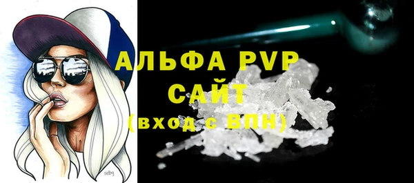трава Белокуриха