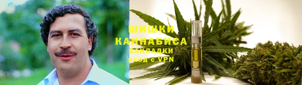 сатива Тында