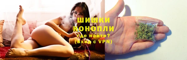 трава Белокуриха
