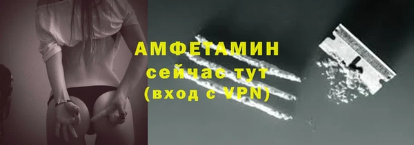 трава Белокуриха