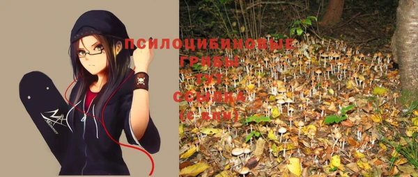 молекула духа Беломорск