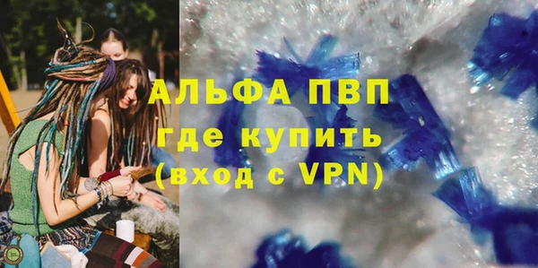 трава Белокуриха