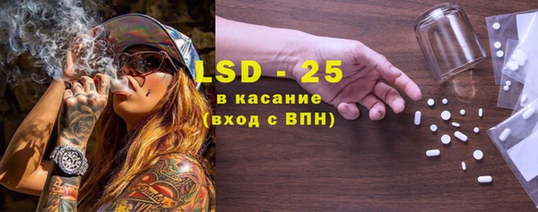 трава Белокуриха