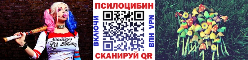 Галлюциногенные грибы мицелий  где продают наркотики  omg сайт  Кунгур 